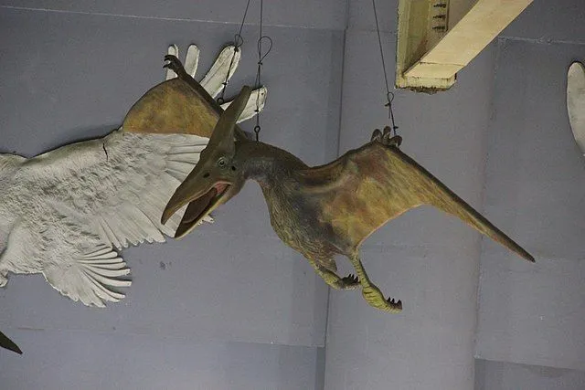 Kepodactylos was a new genus-species grouped under the pterosaur order.