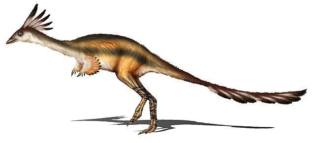 Achillesaurus was a large alvarezsaurid dinosaur with long legs.