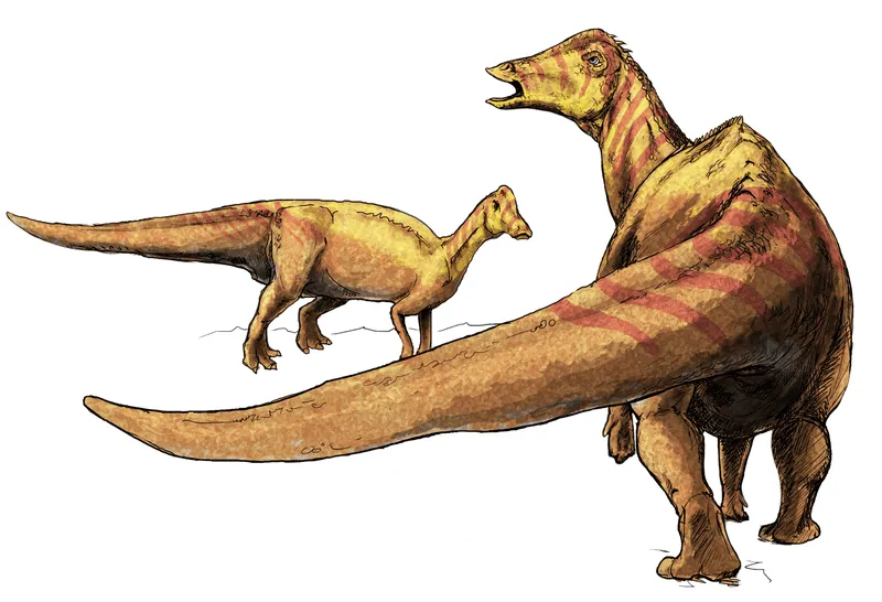 Adelolophus lived in the Cretaceous period.