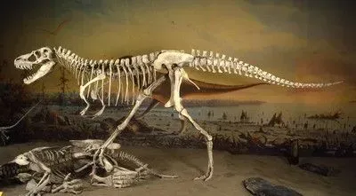Albertosaurus inhabited the earth around 70 million years ago.