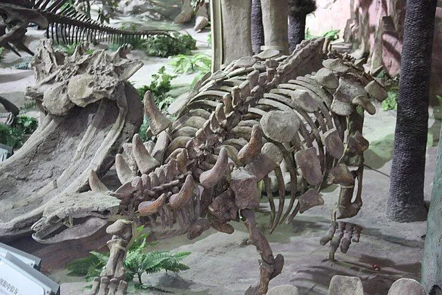 These rare Aletopelta facts will make you love these dinosaurs.