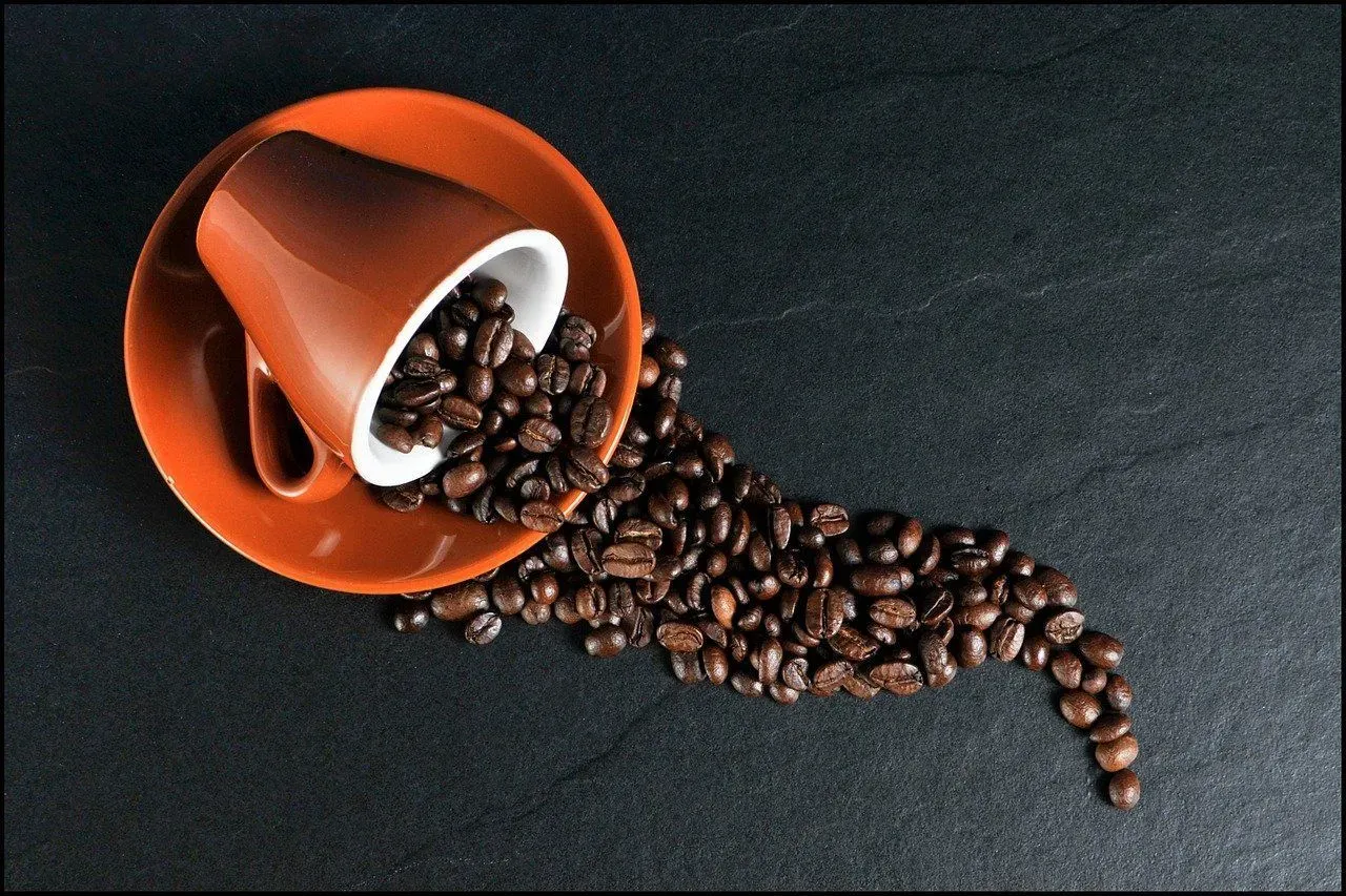 All coffee lovers want to know what country does the word espresso come from.