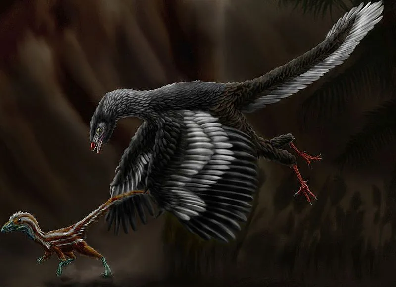 Amazing Archaeopteryx facts that everyone will love.