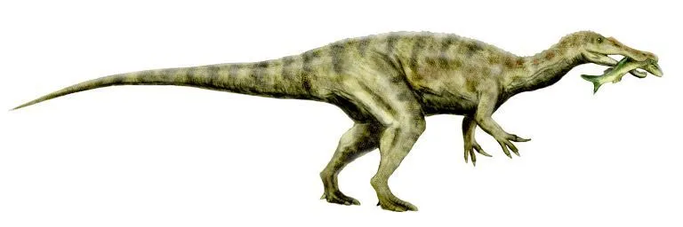 An Ostafrikasaurus is only known from its fossil teeth, which were serrated and broad at the base.