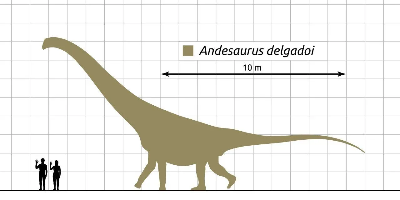 The Andesaurus delgadoi from Neuquén had a long neck that made it look even more prominent in size.