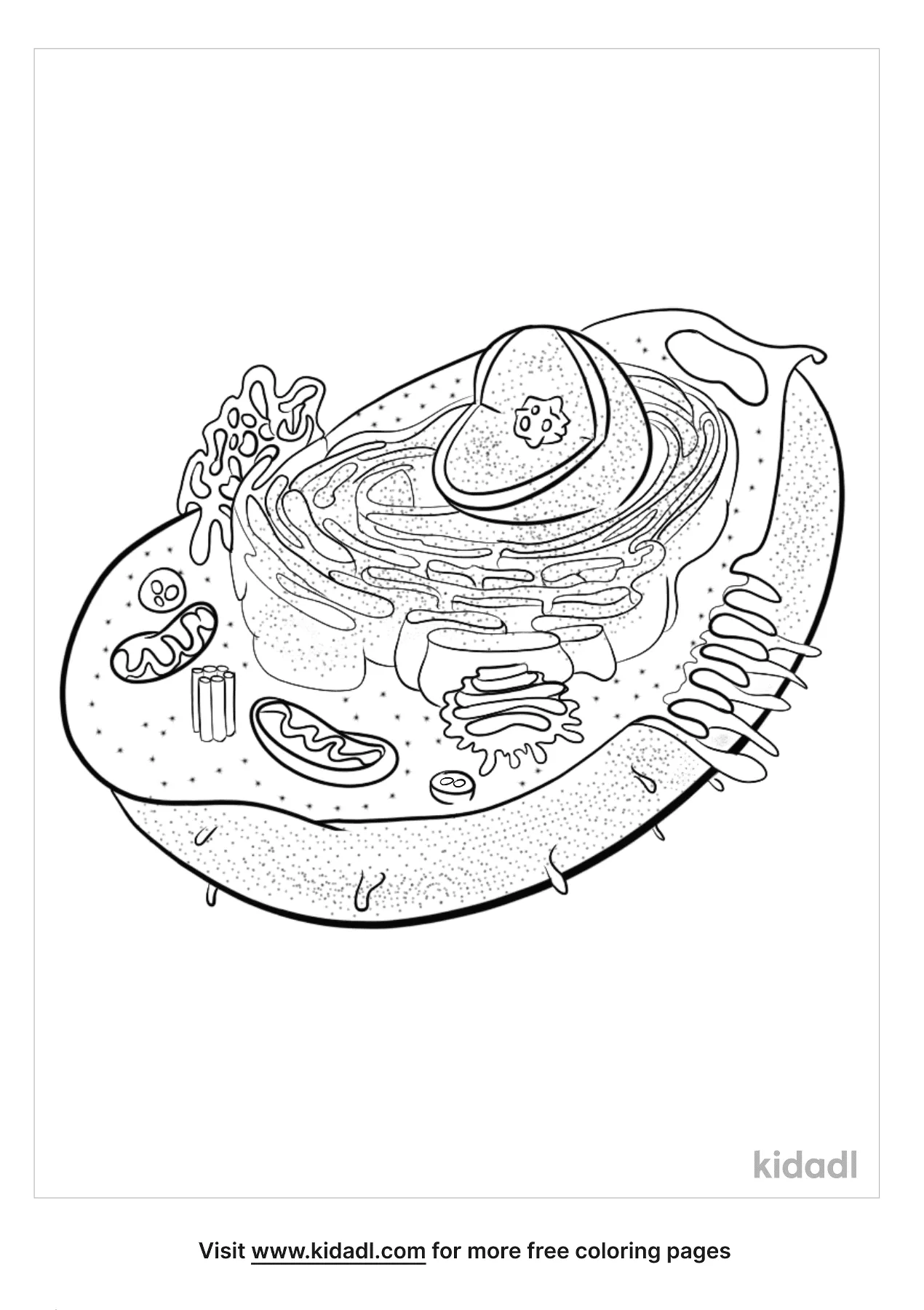 Free Animal Cell Coloring Page | Coloring Page Printables | Kidadl
