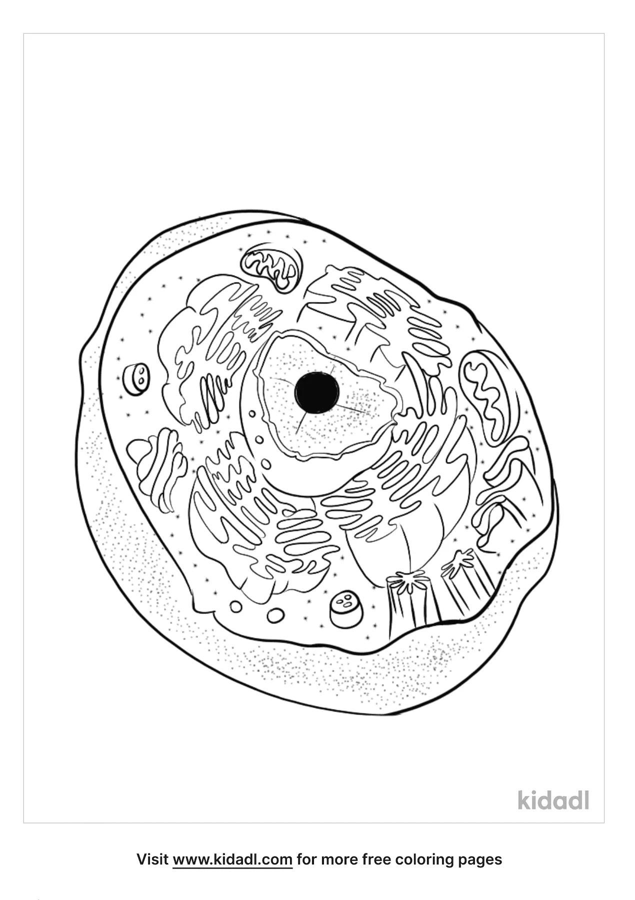 Animal Cell Coloring Pages  Free Science Coloring Pages  Kidadl In Animal Cells Coloring Worksheet