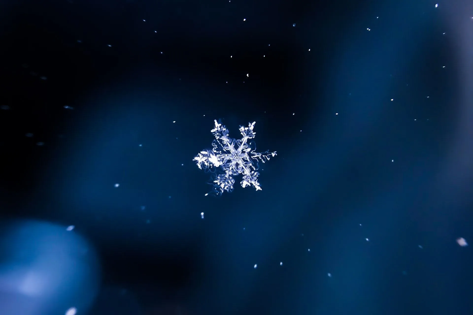 According to the famed Guinness Book of World Records, the largest snowflake in the world was 15 in (38 cm) broad and 8 in (20 cm) thick, documented by Matt Coleman on January 28, 1887, at Fort Keogh, Montana.