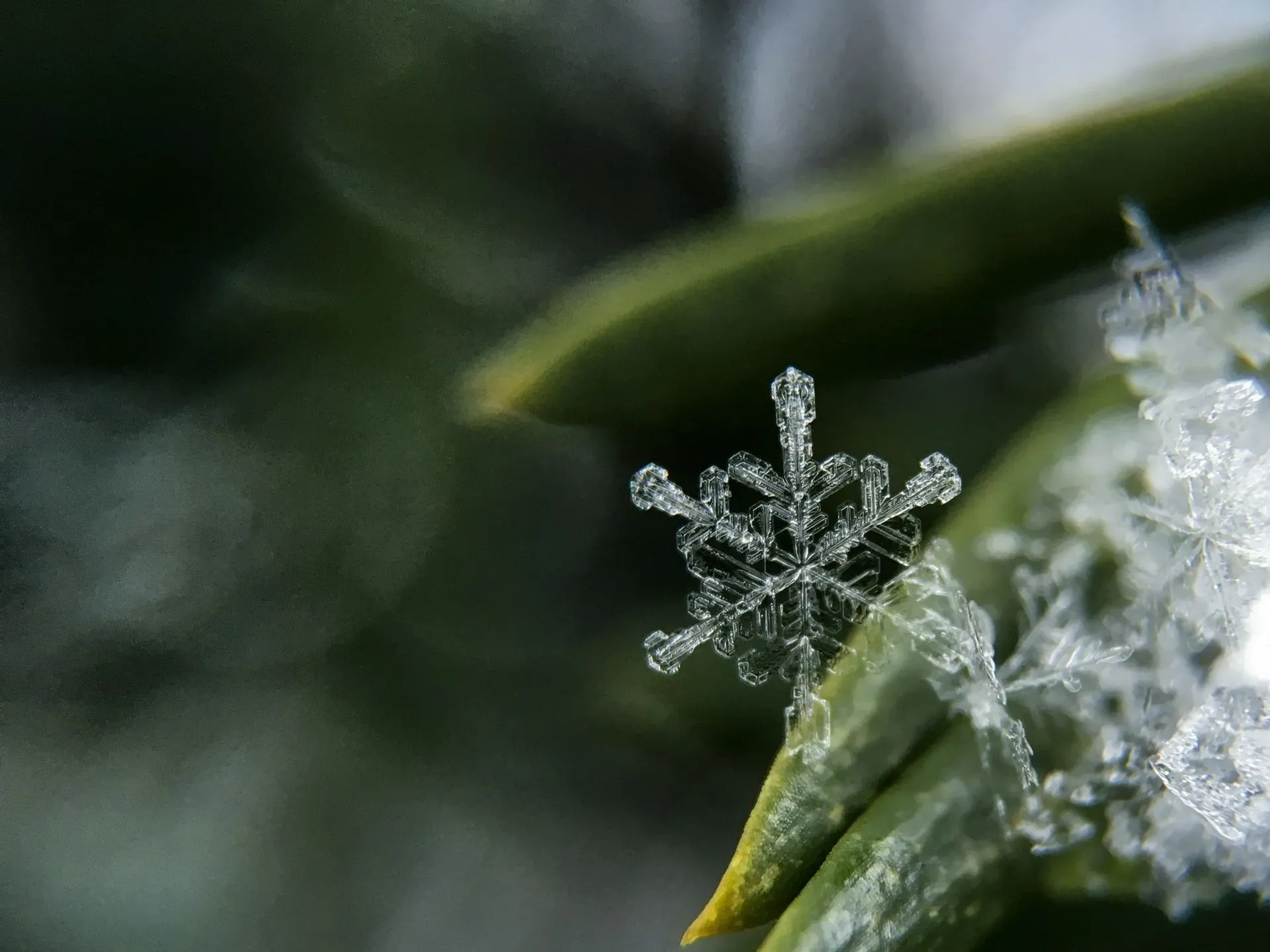 One of the fun facts about snowflakes is that it is unlikely to spot two identical snowflakes.