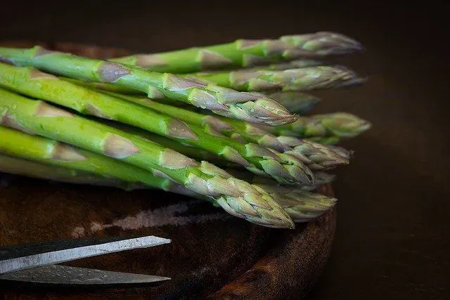 Asparagus fun facts will let you know that it takes asparagus around three years to be ready to harvest.