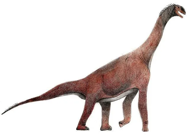 The Atlasaurus's length was determined by a recent fossil discovered in Morocco.