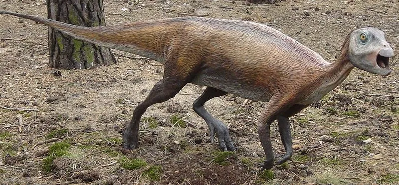 Atlascopcosaurus facts such as its model is kept at JuraPark, Solec Kujawski, Poland.