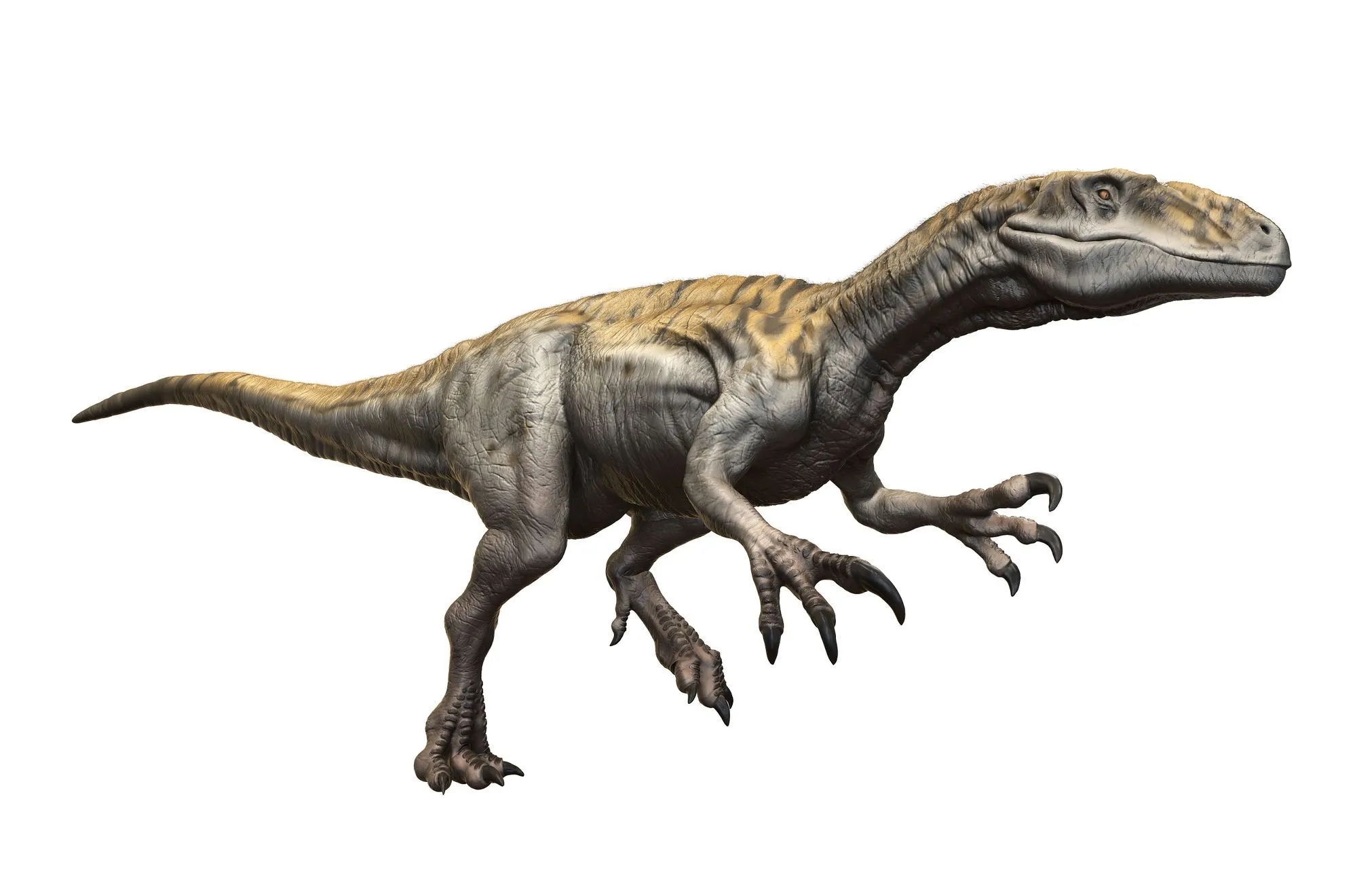 Australovenator facts are for all dinosaur lovers.