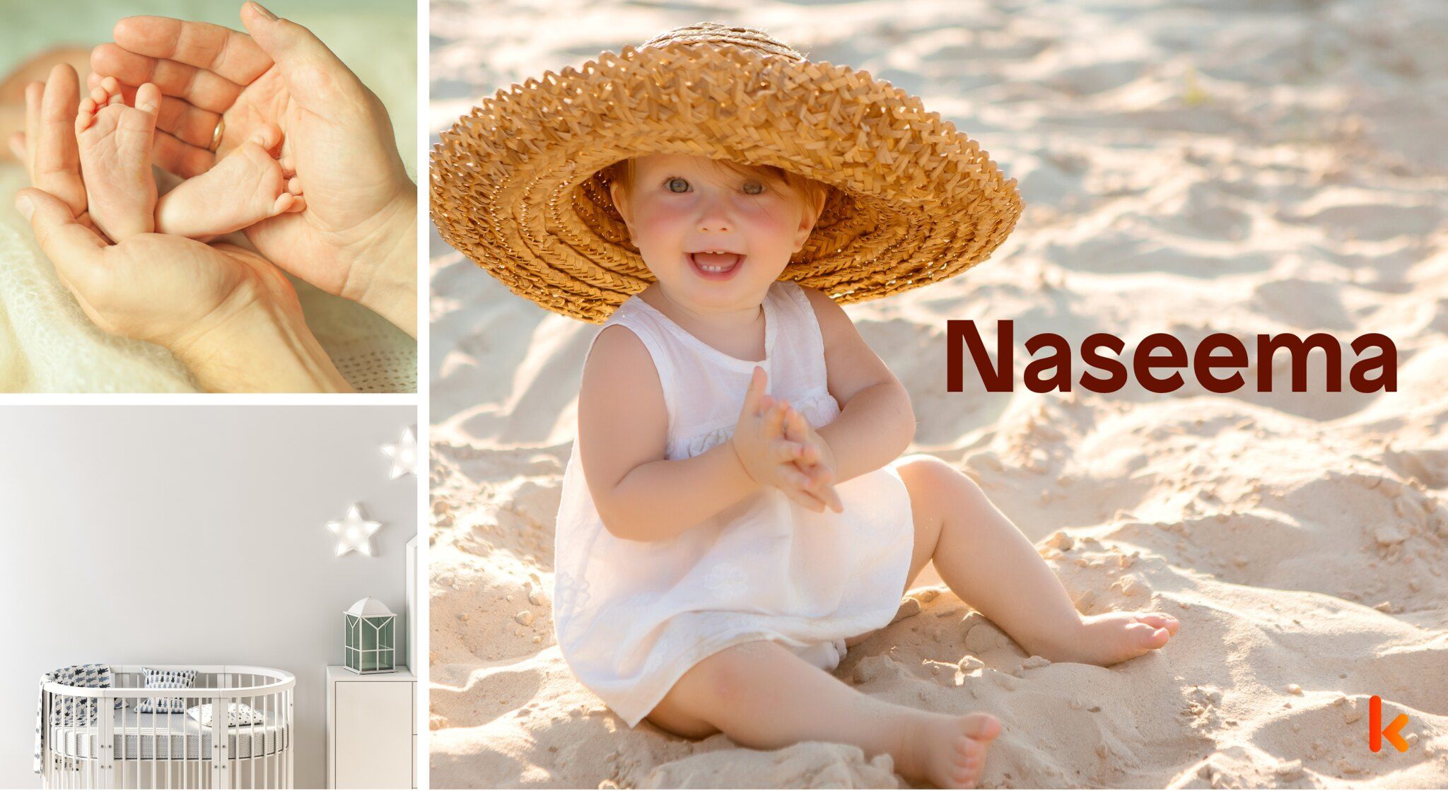 Meaning of the name Naseema