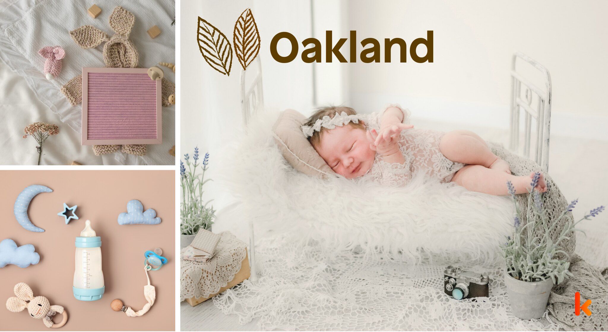 Meaning of the name Oakland