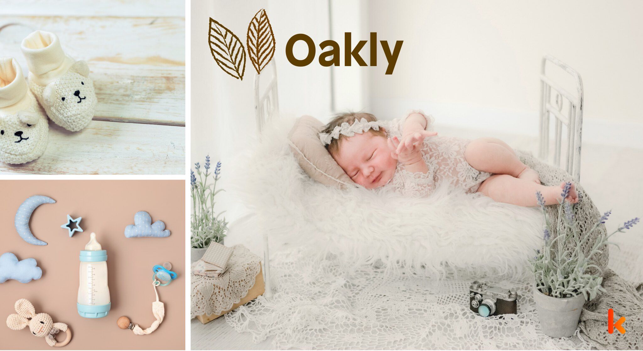 Meaning of the name Oakly
