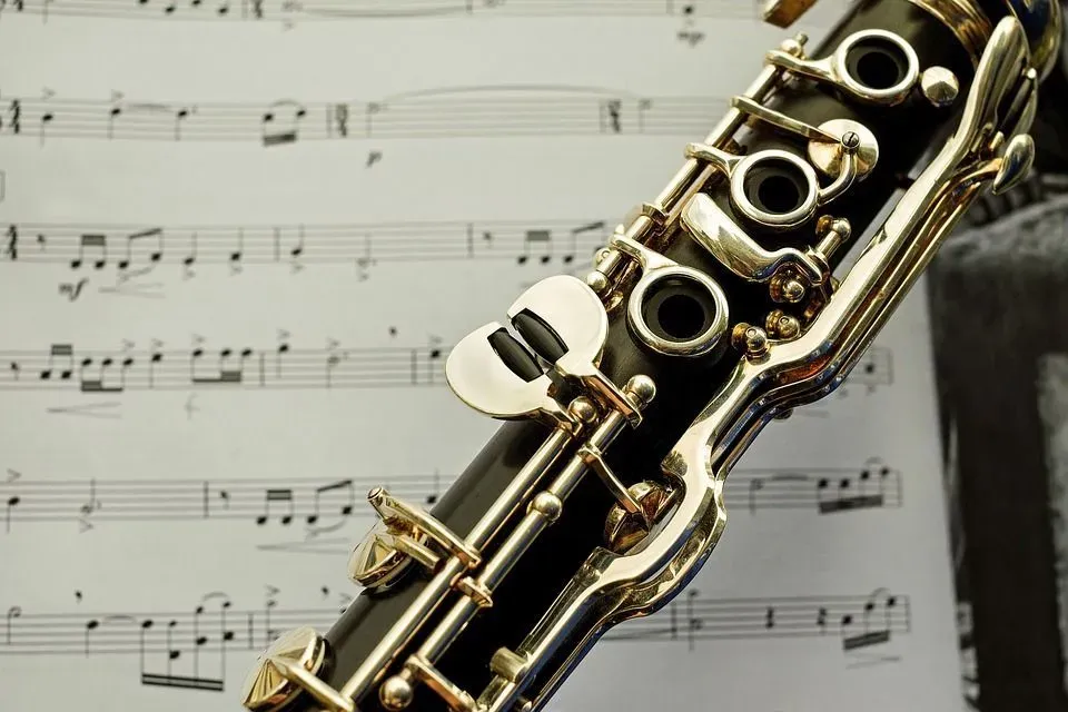 Bass clarinet facts tell us that bass clarinet is a single-reed woodwind instrument.