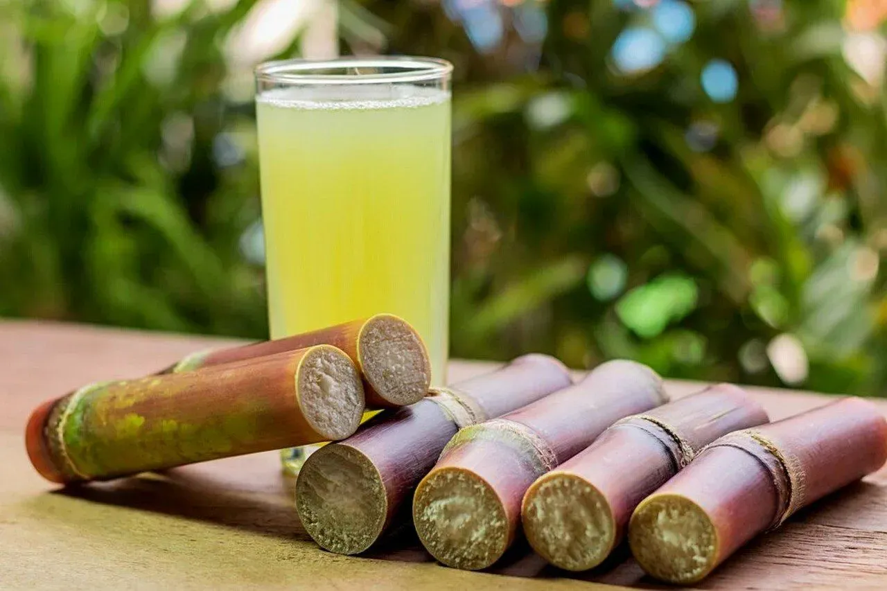 Sugarcane juice can be part of a fitness diet.