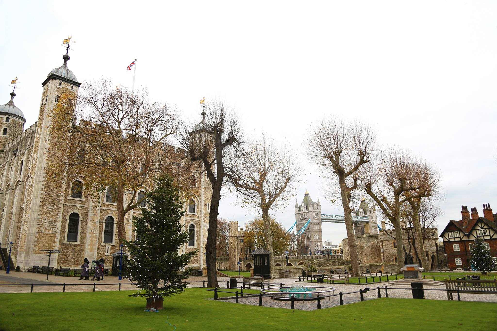 Get VIP access to the Tower of London before the crowds and check out all the city has to offer. Get Tower of London tour tickets.