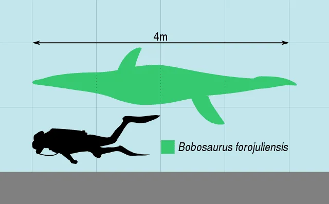 Fun Bobosaurus Facts For Kids 