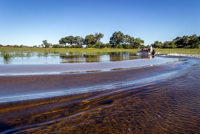 There is a thrilling safari boat in the world-famous Okavango Delta!