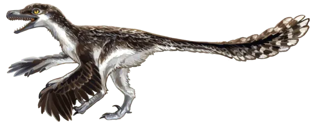 The Byronosaurus genus was characterized by its large eyes and fluffy feathers.