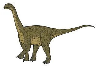 Read some amazing Camarasaurus facts in this article.