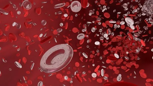 White blood cells from your immune system can use capillaries to reach sites of infection.