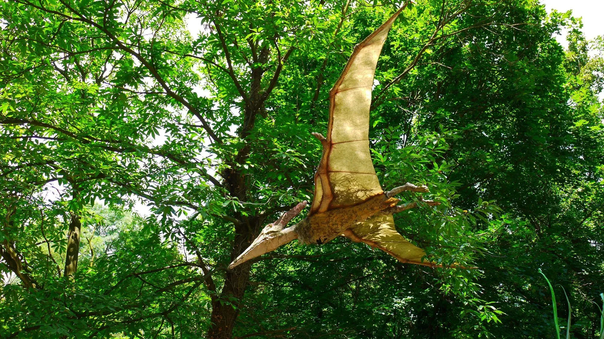 Caviramus was a Late Triassic period pterosaur that possessed fang-like teeth!