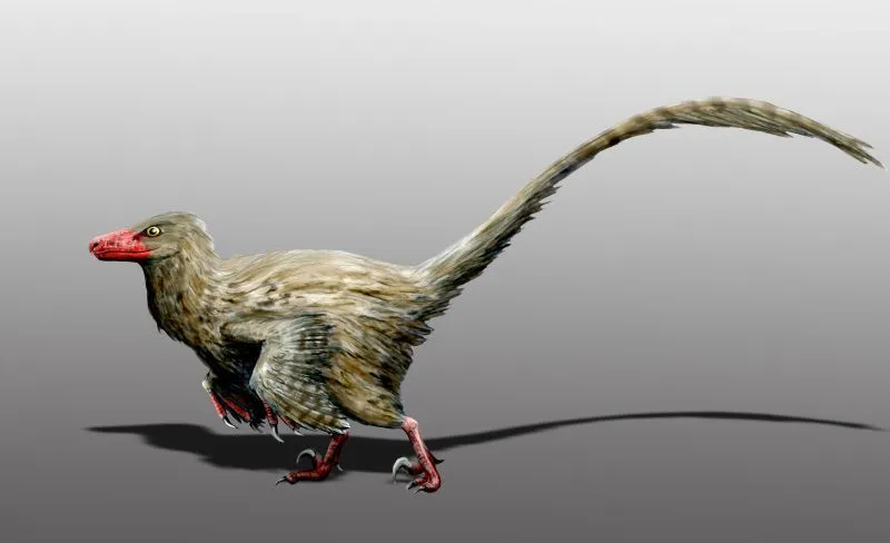Check out these amazing Hesperonychus facts!