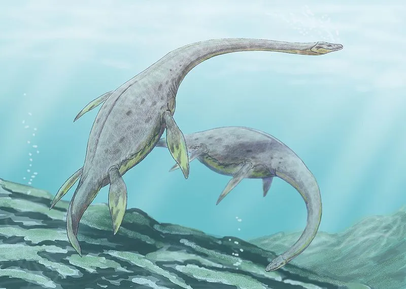 Check out these amazing Muraenosaurus facts and learn more about this plesiosaur!