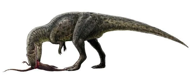 Chilantaisaurus were heavy species of dinosaurs.