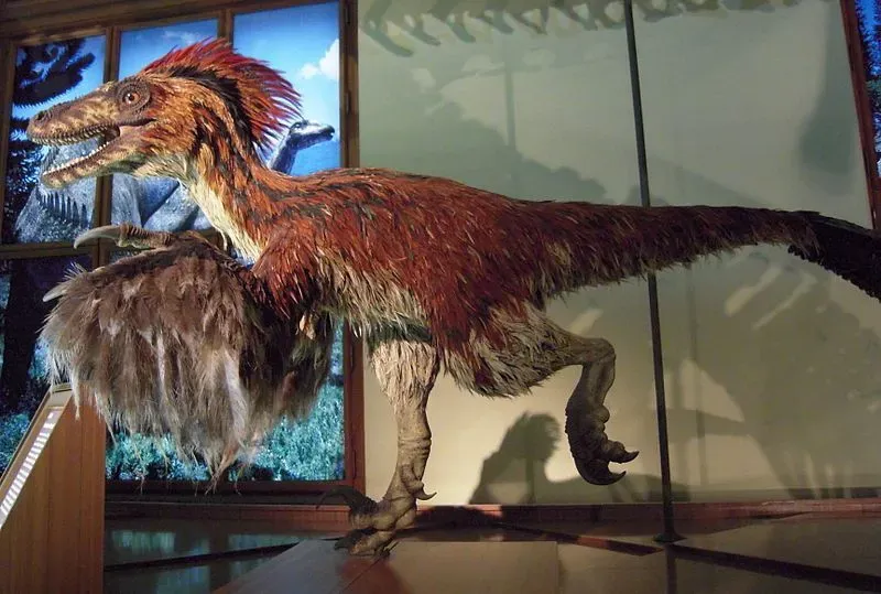 Compsosuchus was a carnivore.