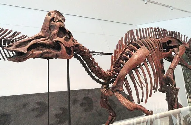 Corythosaurus fossils show skin impressions through the length of the body, from head to feet.