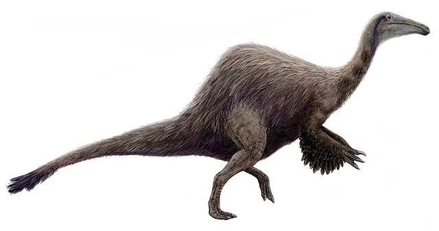 One of the interesting Deinocheirus facts is that this dinosaur had long claws.