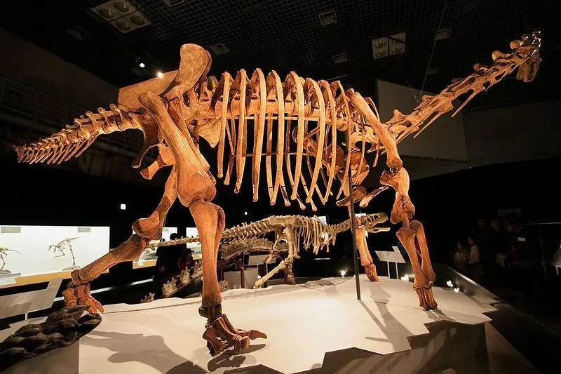 Discover amazing Maxakalisaurus facts