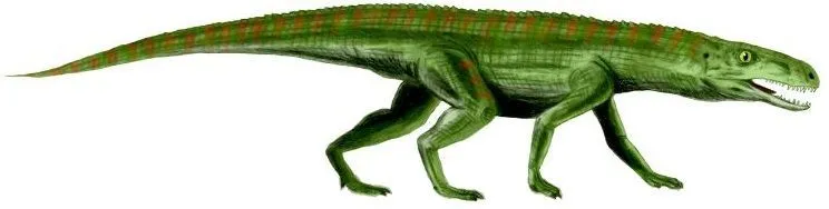 If this animal was alive today, it would have easily passed as a baby crocodile. Continue reading to discover more interesting Gracilisuchus facts that you're sure to love!