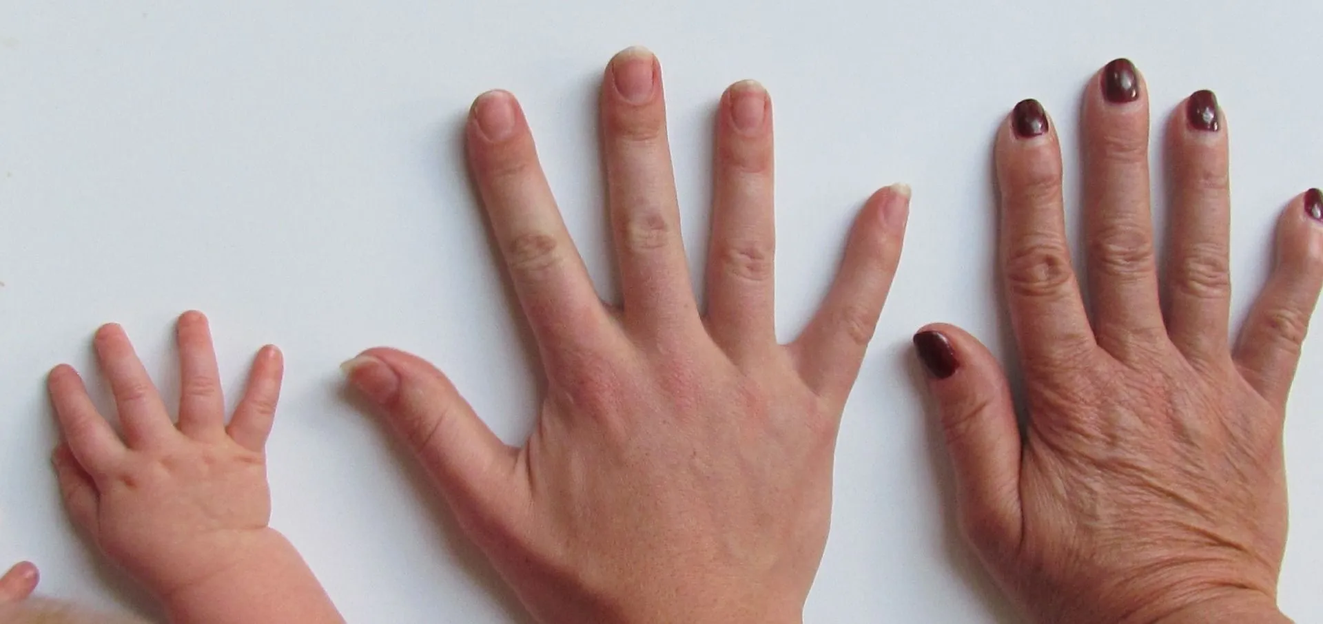 Do Fingernails Carry On Growing After Death? We Have The Answer! | Kidadl