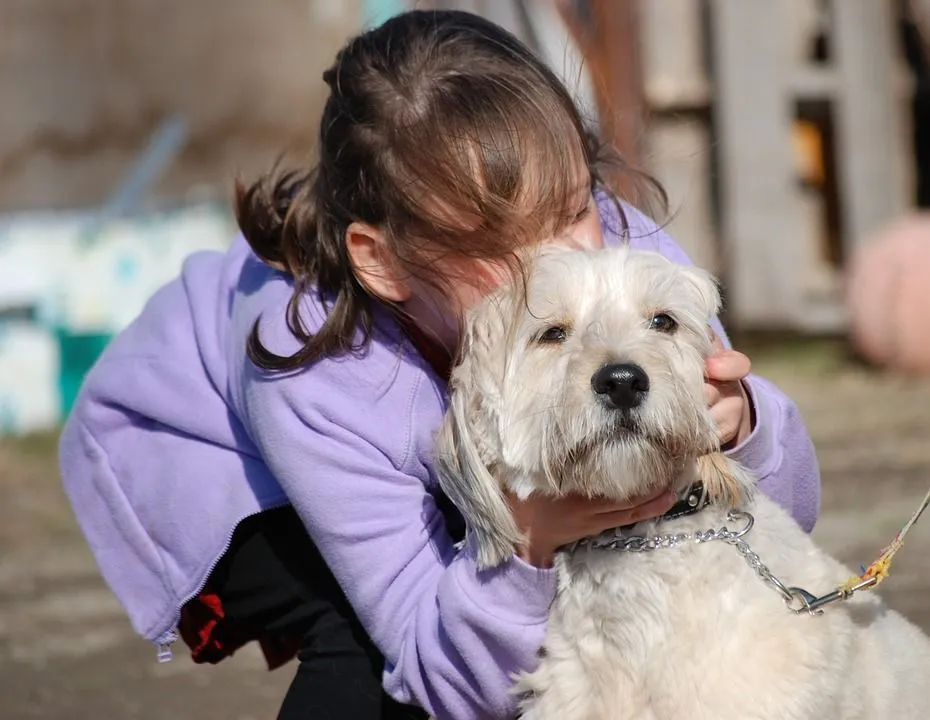 Dog's behavior can make it friends with the entire human family and become a family member.