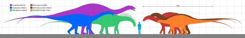 Dolichosuchus were carnivorous in nature.