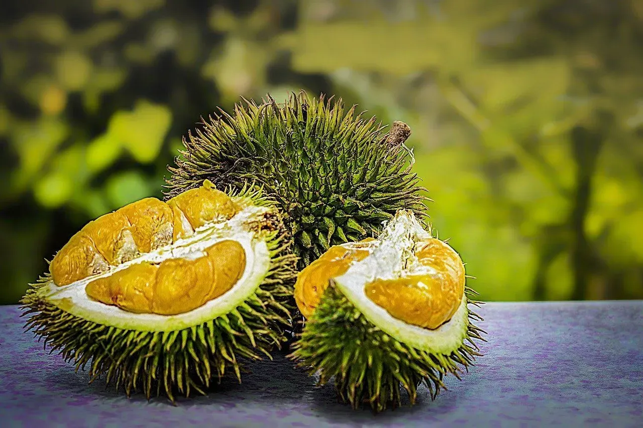 Explore interesting durian nutrition facts through this article!