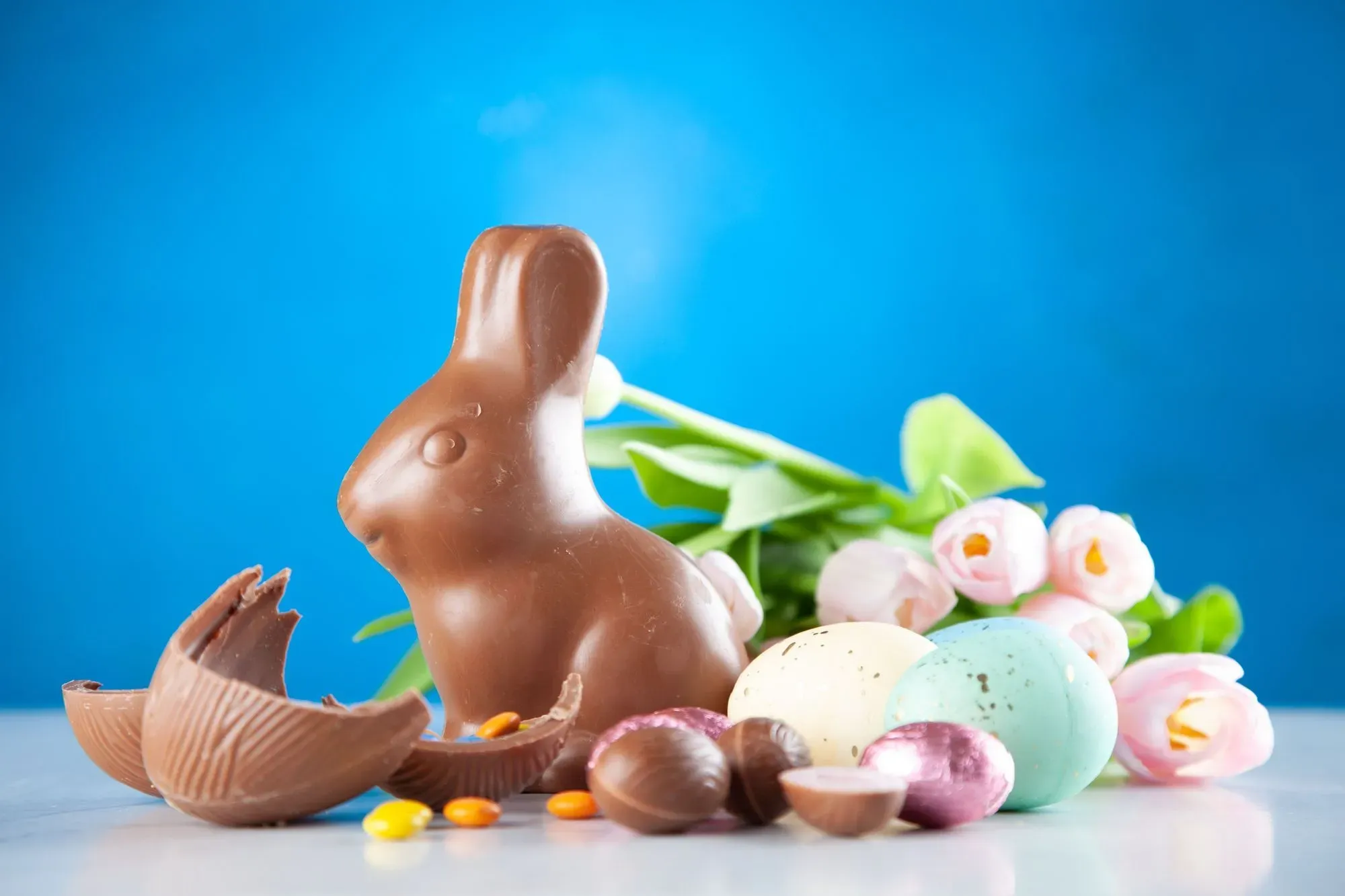 The chocolate Easter bunny is a popular treat loved by children.