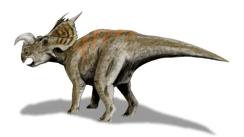 The Einiosaurus dinosaur lived in the Late Cretaceous period.