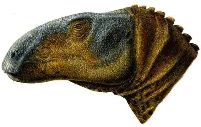 Fun facts about the diet, length, and history of Eolambia dinosaurs from the Dinosauria and Ornithopoda clade, that lived in North America during the Middle Cretaceous era.