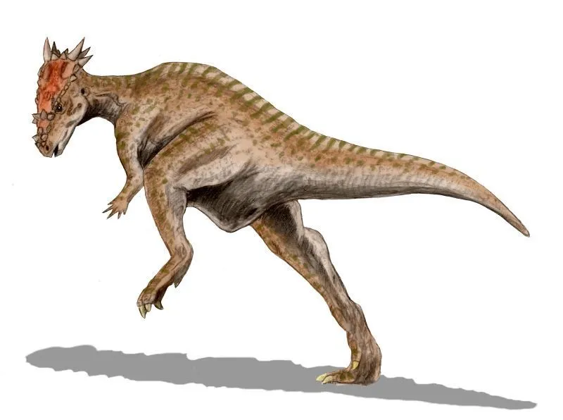 Explore more about this dinosaur by reading these Stenopelix facts.