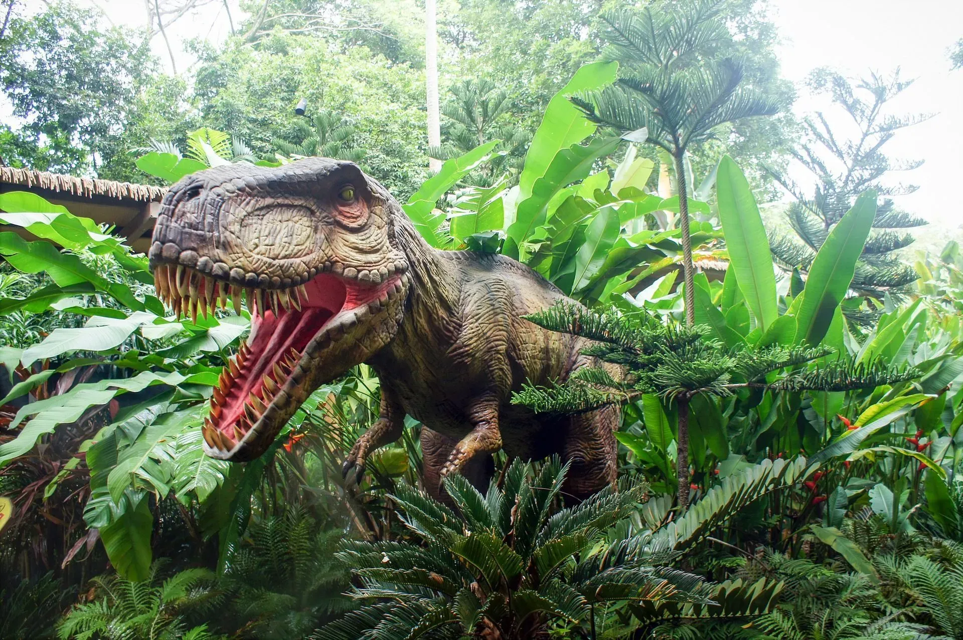 These horrifying and gigantic-looking dinosaurs are herbivorous. Isn't it surprising?