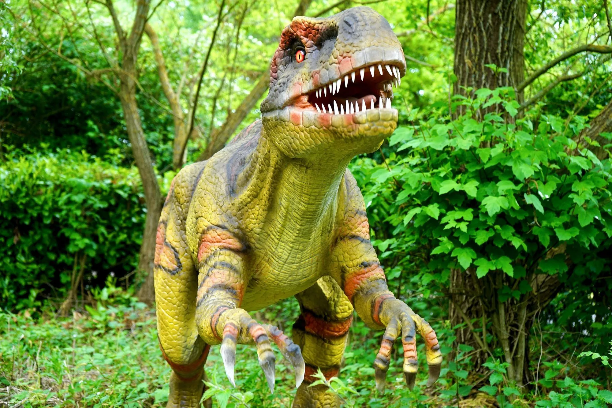 The gigantic dinosaur is breath-catching! Learn more about the fastest dinosaur here.