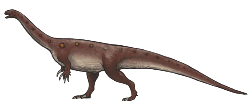 Find out more about one of the oldest known dinosaurs from the Late Triassic with the interesting Chromogisaurus facts.
