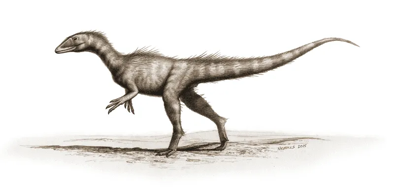 Fun facts about the oldest Jurassic dinosaur- Dracoraptor hanigani, described by Steve Vidovic, including details about the juvenile specimen's skeleton discovered in Wales.