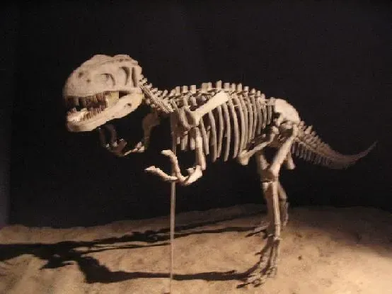 Gasosaurus was a carnivore predator.
